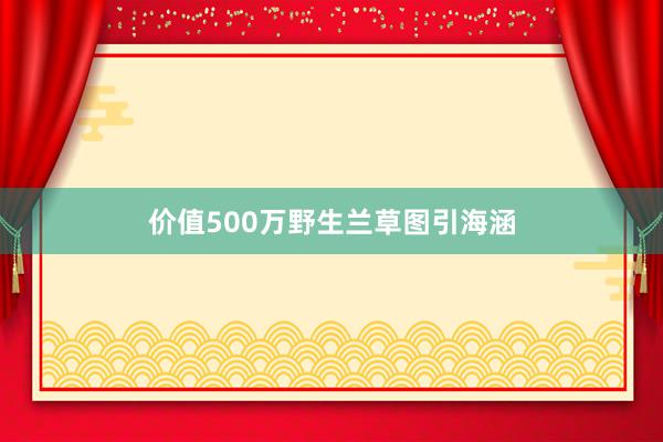 价值500万野生兰草图引海涵